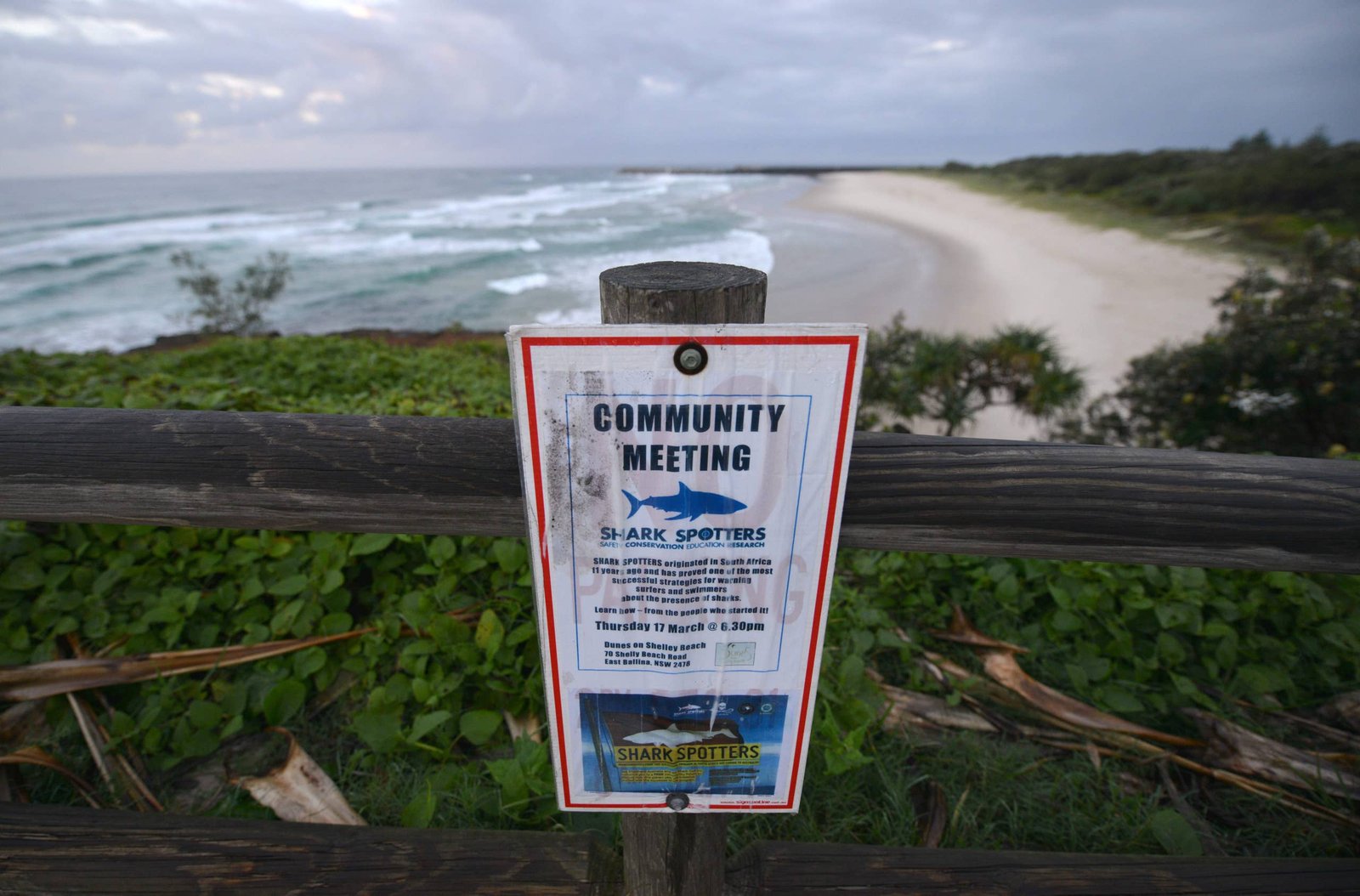Sign warning of shark danger posted near Ballina beach